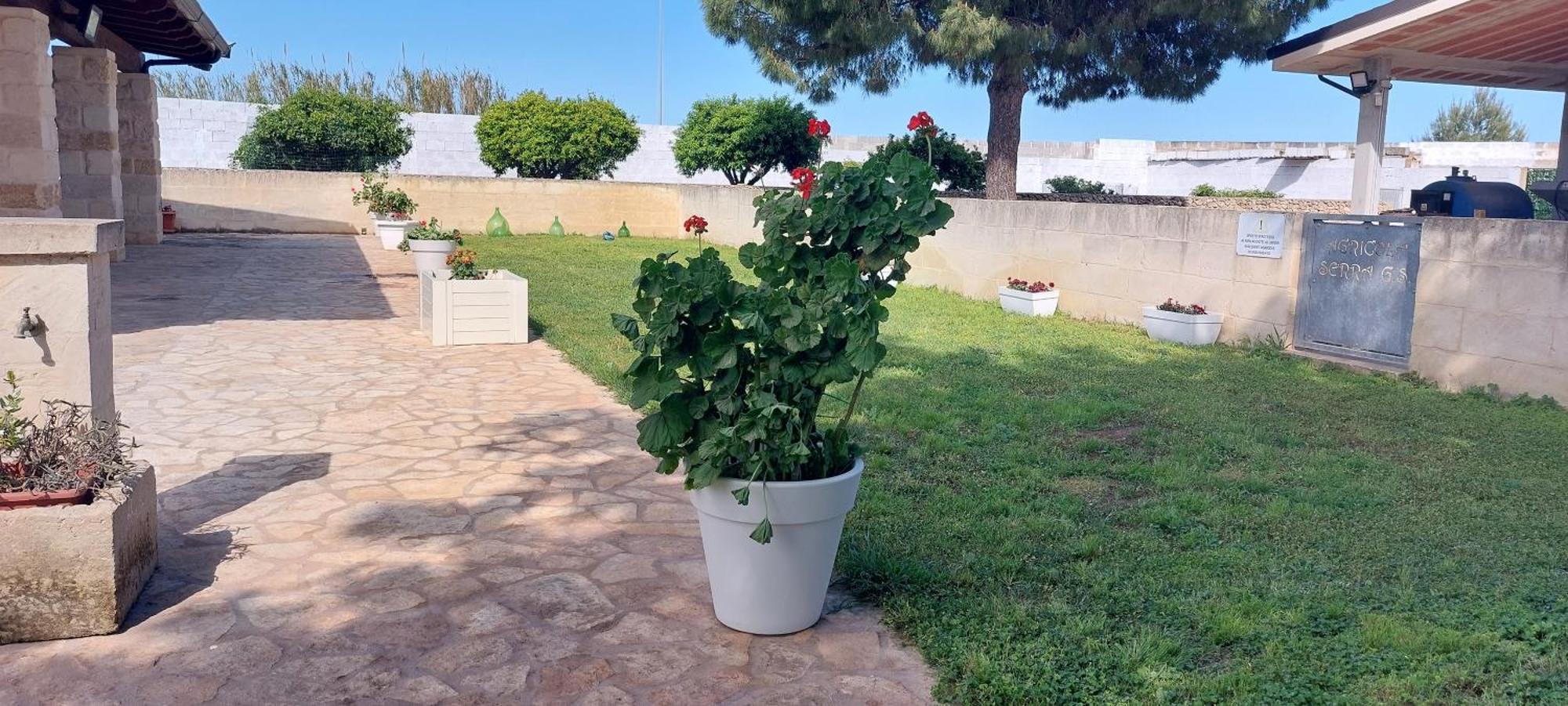 L'Aira Ecchia - Ospitalita Rurale Villa Lecce Exteriör bild