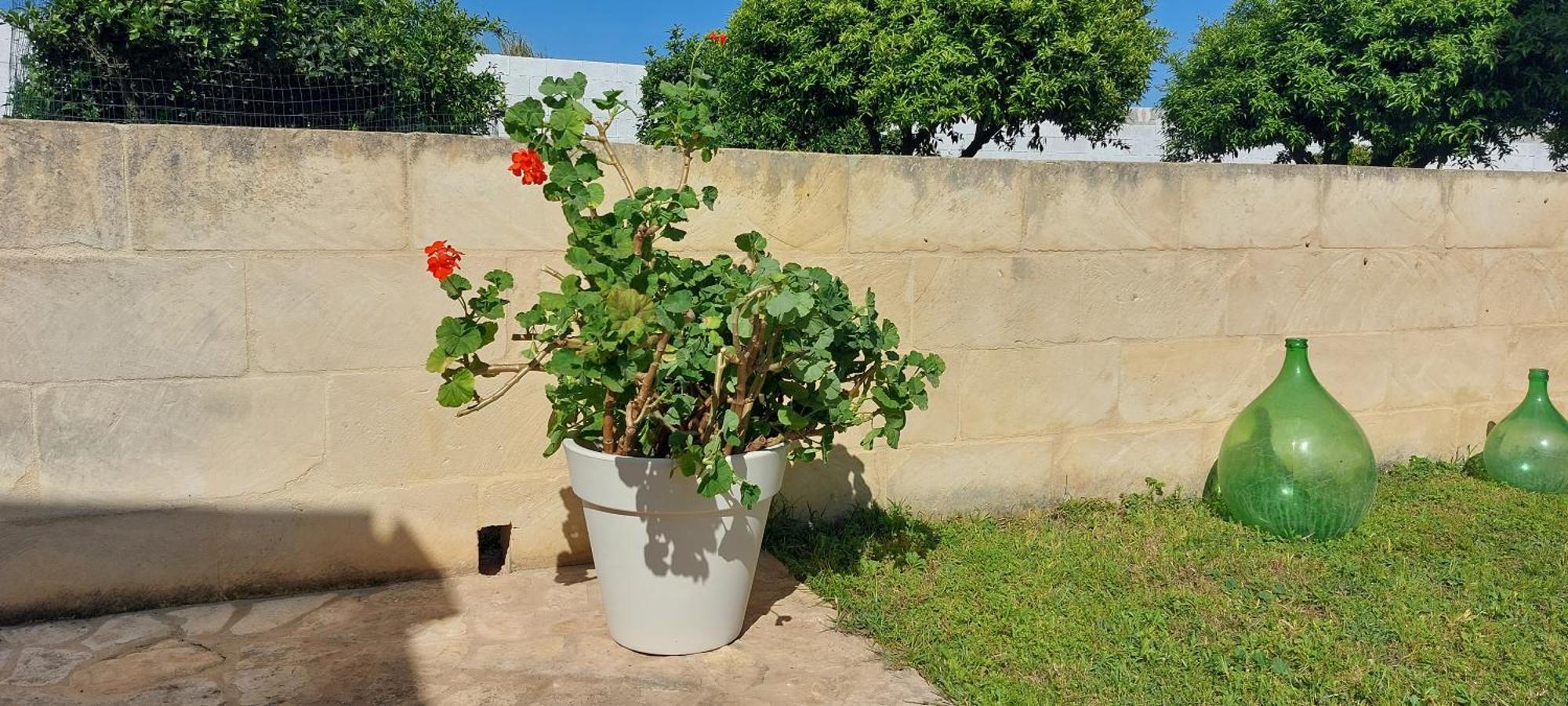 L'Aira Ecchia - Ospitalita Rurale Villa Lecce Exteriör bild